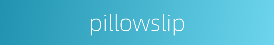 pillowslip的同义词