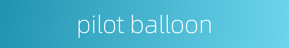 pilot balloon的同义词