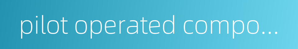 pilot operated compound relief valve的同义词