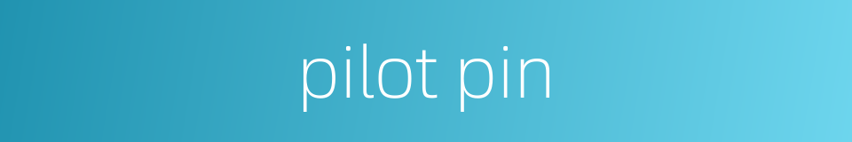 pilot pin的同义词