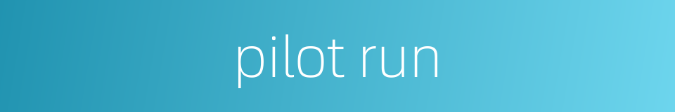 pilot run的同义词