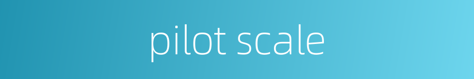 pilot scale的同义词