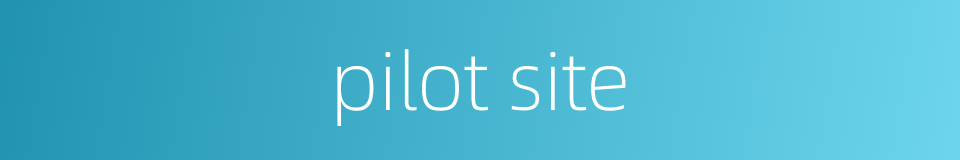 pilot site的同义词
