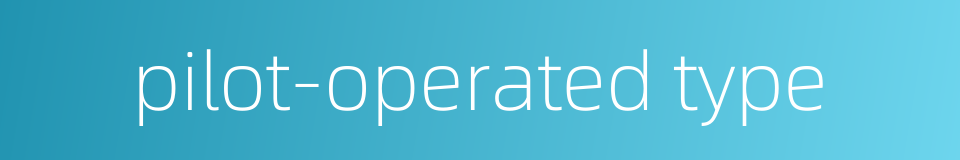 pilot-operated type的同义词
