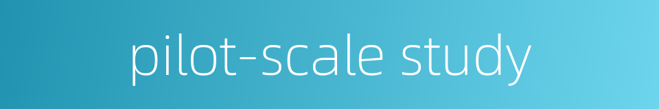 pilot-scale study的同义词