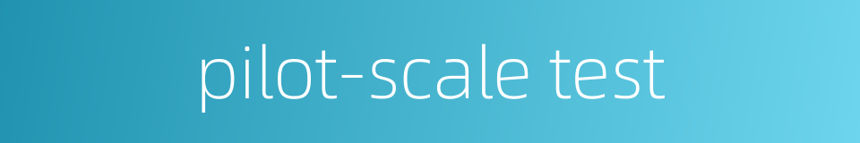 pilot-scale test的同义词