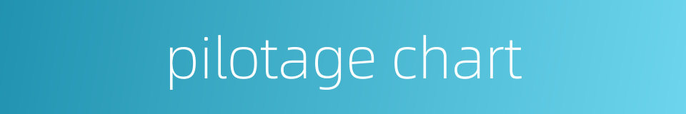 pilotage chart的同义词
