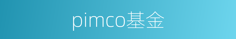 pimco基金的同义词