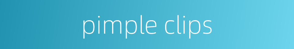 pimple clips的同义词