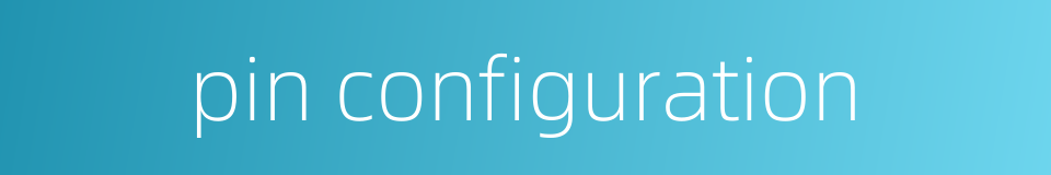 pin configuration的同义词