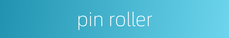 pin roller的同义词