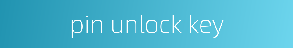 pin unlock key的同义词