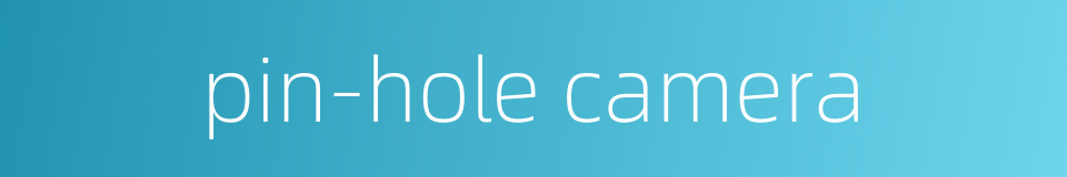 pin-hole camera的同义词