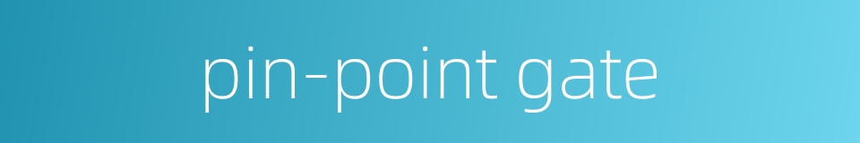 pin-point gate的同义词