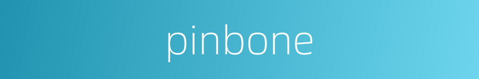 pinbone的同义词