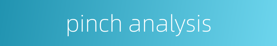 pinch analysis的同义词