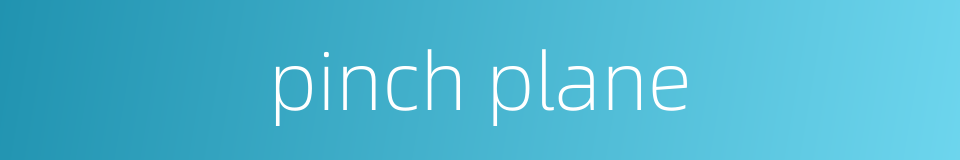 pinch plane的同义词