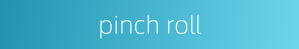 pinch roll的同义词