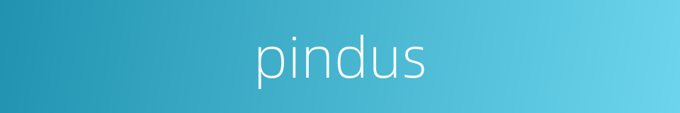 pindus的同义词