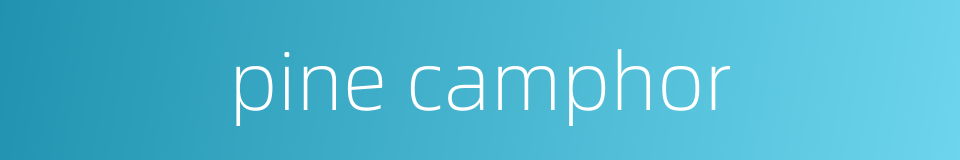 pine camphor的同义词