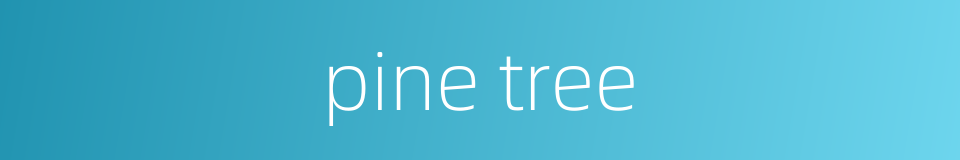 pine tree的同义词