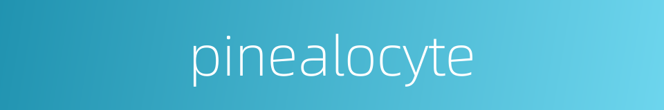 pinealocyte的同义词