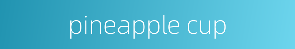 pineapple cup的同义词