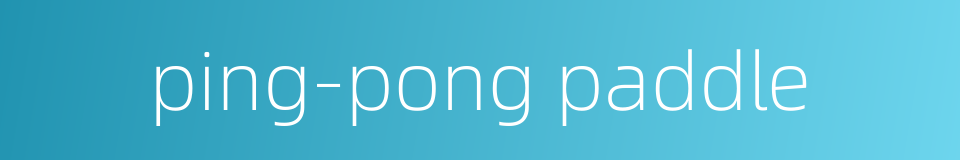 ping-pong paddle的同义词