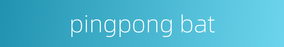 pingpong bat的同义词