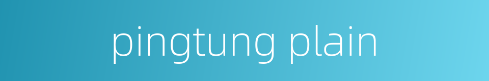 pingtung plain的同义词