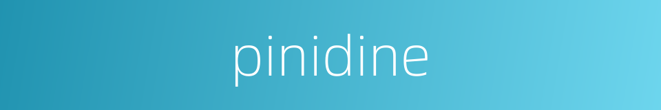 pinidine的同义词