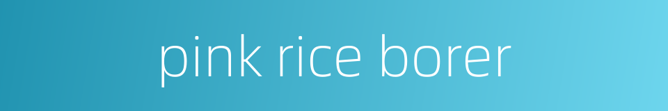 pink rice borer的同义词