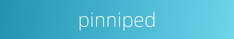 pinniped的同义词