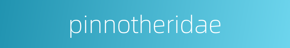 pinnotheridae的同义词