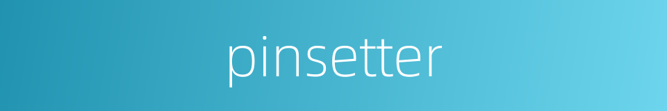 pinsetter的同义词