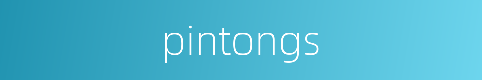 pintongs的同义词