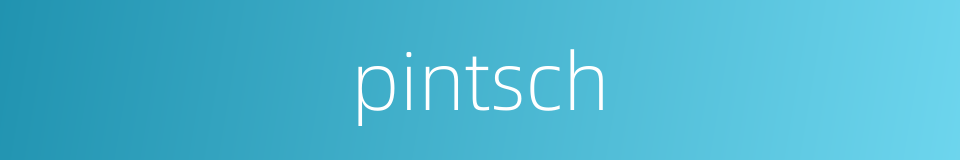 pintsch的同义词