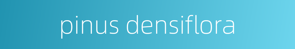 pinus densiflora的同义词