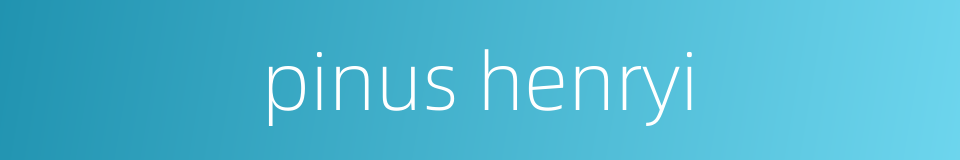 pinus henryi的同义词