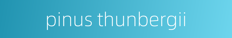 pinus thunbergii的同义词
