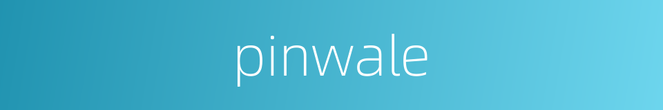 pinwale的同义词