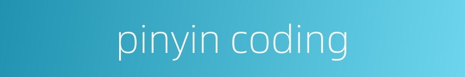 pinyin coding的同义词
