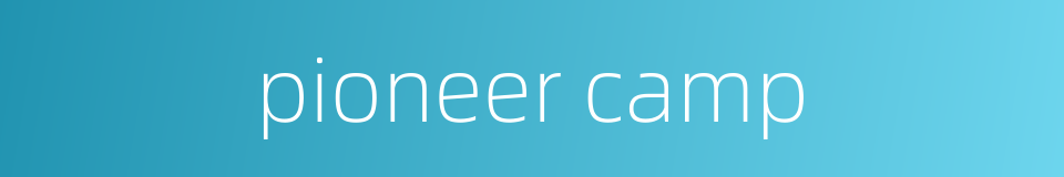 pioneer camp的同义词