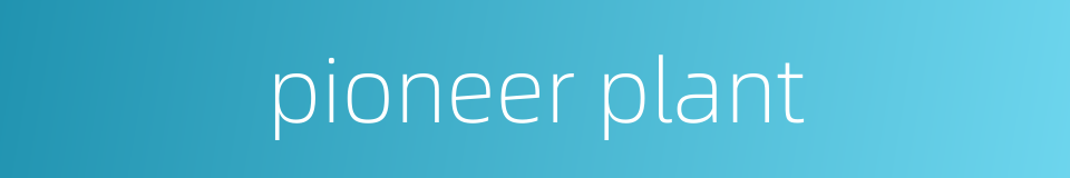 pioneer plant的同义词