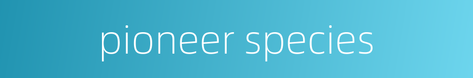 pioneer species的同义词