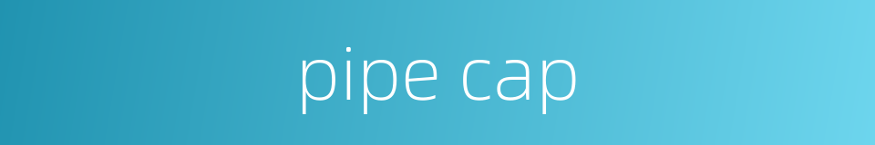 pipe cap的同义词