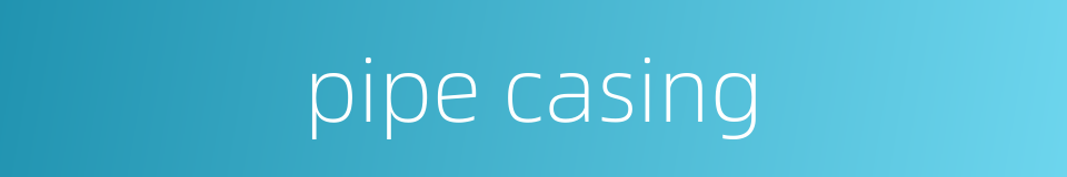 pipe casing的同义词