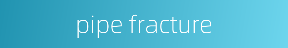 pipe fracture的同义词