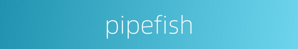 pipefish的同义词