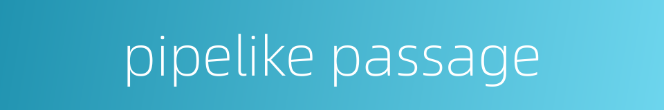 pipelike passage的同义词